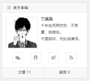 Begin破解版主题美化-关于本站头像居中-踩坑日记